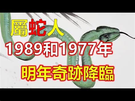 1989年生肖五行